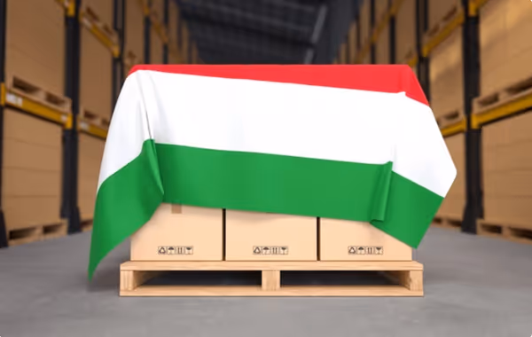 Международни палетни пратки до Унгария с Cargo1.bg